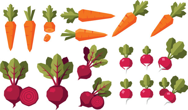 Set of flat vector icons featuring fresh carrots, beetroot, and radishes with green leafy tops
