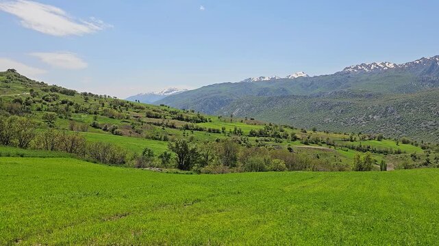 Lush green hillside stretches toward snow-capped mountain peaks under a clear spring sky, scattered trees dotting the pristine alpine landscape.
📍 Daga Shekhan, Marivan, Kurdistan