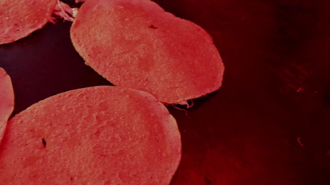 Close Up Corn Tortillas Cooking Hot Griddle Traditional Mexican Street Food