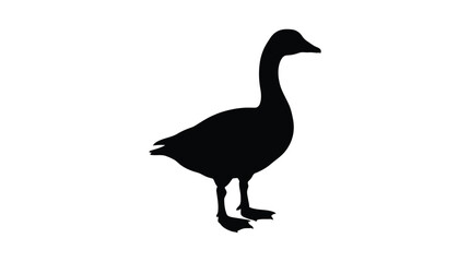 A black goose silhouette stands against a plain white background silhouette avian © Monjurul