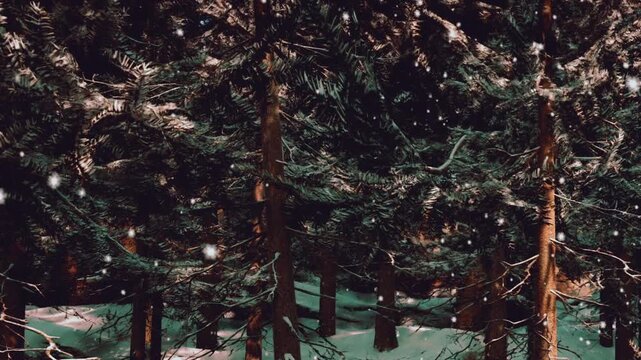 Snow falls softly among evergreen trees in a winter forest. The ground is covered with snow. It is evening, and the light is dim. Trees stand tall and still in the cold air.