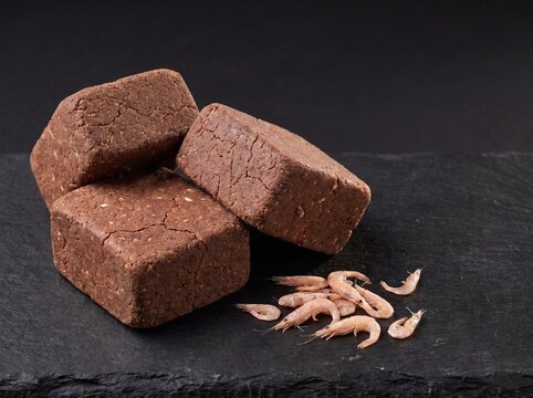 Blocks of fermented shrimp paste with coarse dense texture and dried baby shrimp on dark slate surface