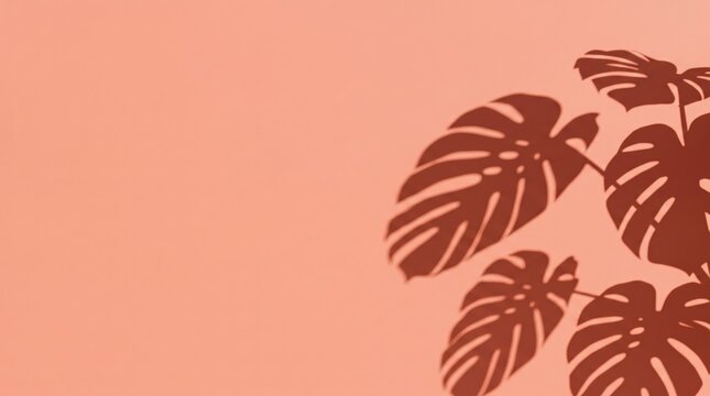 Aesthetic shadow of monstera deliciosa leaves cast on soft peach pink wall, tropical botanical pattern, minimalist summer, nature inspired design element, sunlight projection