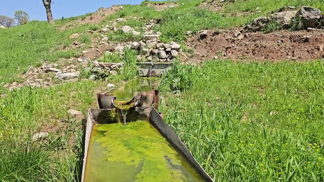 Sun-drenched hillside cradles a rustic trough fed by clear spring water, a young tree standing tall against vivid blue skies.
📍Daga Shekhan, Marivan, Kurdistan 