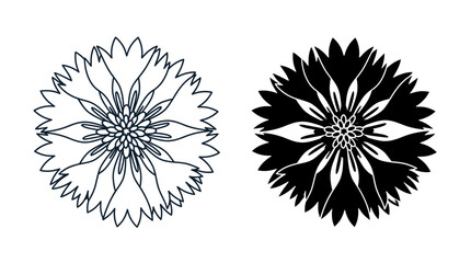 Obraz premium Two stylised floral cornflower icons presented as a simple line art and silhouette