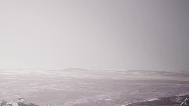 A view of a snowy landscape with large rocks in the foreground and a gray sky above. The scene shows a vast area covered in snow with no signs of vegetation.