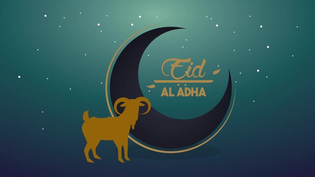 Eid al adha celebration animation featuring golden sacrificial goat and crescent moon against night sky backdrop.