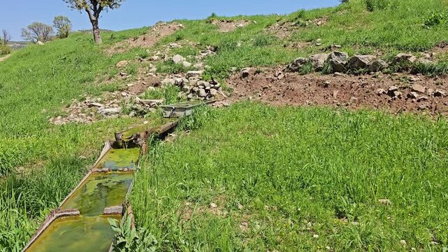 Charming rustic trough rests among stones on a lush green hillside, graceful trees dotting the slope beneath a bright spring sky with drifting clouds.
📍Daga Shekhan, Marivan, Kurdistan 