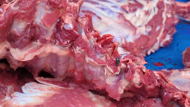 A close-up of raw animal carcass with a green blowfly landing on the muscle tissue. The meat shows bone structure and fat. Not a hygienic scene.