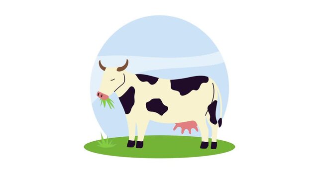 Animation of cow grazing in green meadow on farm with blue sky background.