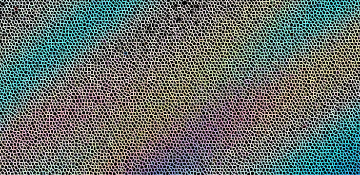 Abstract geometric mosaic mesh background with rainbow iridescent gradient, fine halftone grid pattern, and dark stipple noise texture