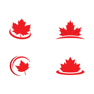 maple leaf logo icon illustration.canadian maple logo icon collection  illustration