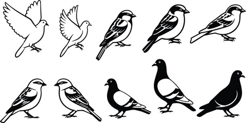 Fototapeta premium Bird Silhouette Collection Featuring Flying Birds, Sparrows, Pigeons and Perching Birds for Nature Wildlife Design Projects