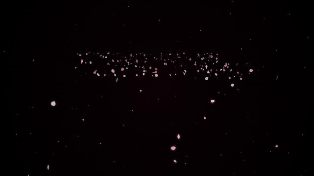 Delicate pink cherry blossom petals gently falling against a dark background creating a serene