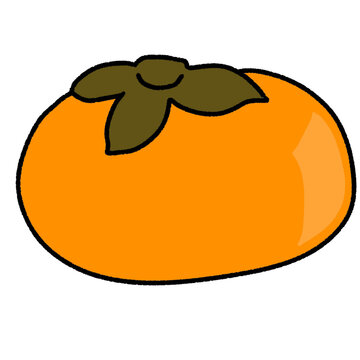 orange fruit illustration, Dried persimmon