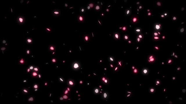 Gentle pink and white petals falling against a dark background creating a serene and romantic
