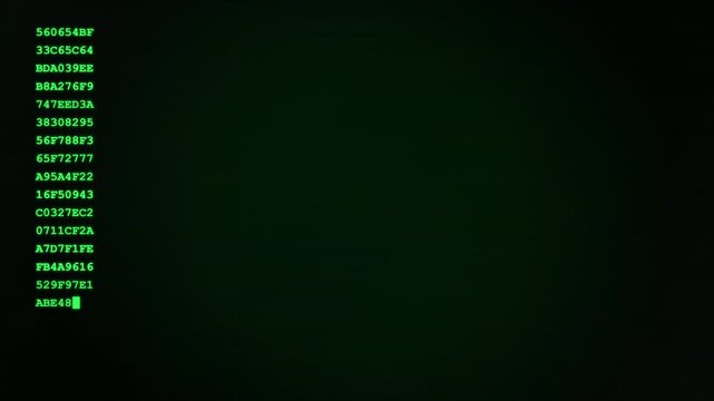 Old computer terminal. Vintage green text terminal with hex code on screen