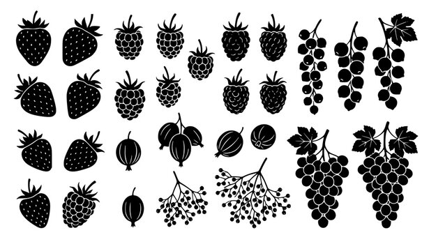 Berry fruit clusters and grape bunches black silhouette vector collection