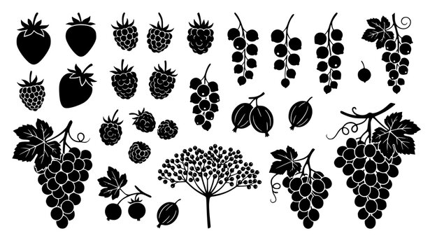 Premium assorted berry and grape fruit black silhouette vector illustration set