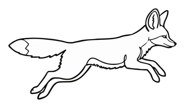 Fennec fox jumping side view continuous line art vec.... Generative AI