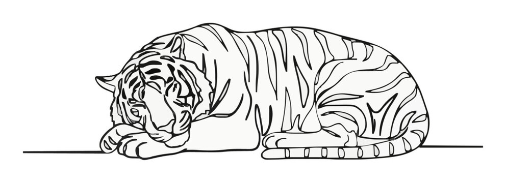 Bengal tiger sleeping peacefully continuous line art.... Generative AI