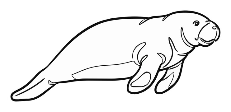 Manatee swimming continuous line art side view vecto.... Generative AI