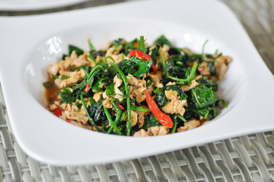 stir fried Gymnema inodorum with egg and chili , stir fried vegetable