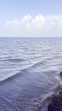 Calm blue ocean waves washing over sargassum seaweed