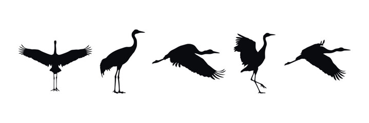 Naklejka premium Five crane silhouettes depict various stages of flight and posture
