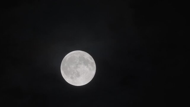 A full moon floating in the summer night sky
A beautiful full moon hanging over the night sky of Japan in summer.