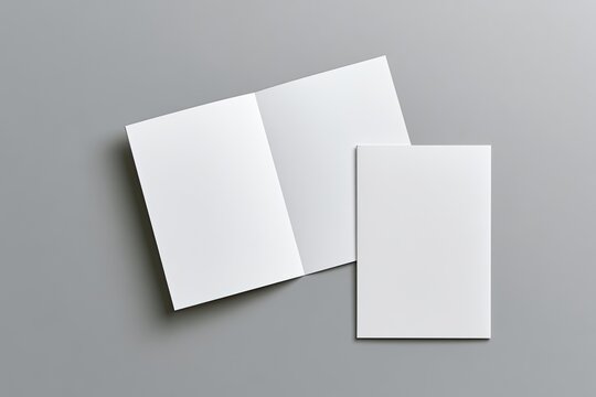 Two blank white folded paper brochures, one open on a gray background