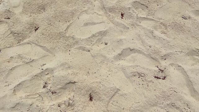People walking on sand creating footprints