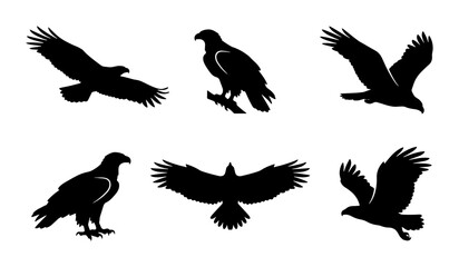 Obraz premium Eagle Silhouettes Set, Majestic Bird Icons, Raptor Vector Graphics, Wildlife Collection