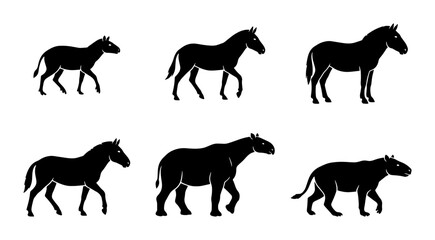 Obraz premium Evolution of Horse Silhouette, Equine Ancestors Vector Set, Prehistoric Mammal Icons