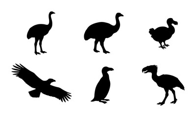 Extinct Bird Silhouettes Collection: Dodo, Moa, Emu, Penguin, Eagle, Terror Bird © Sahil