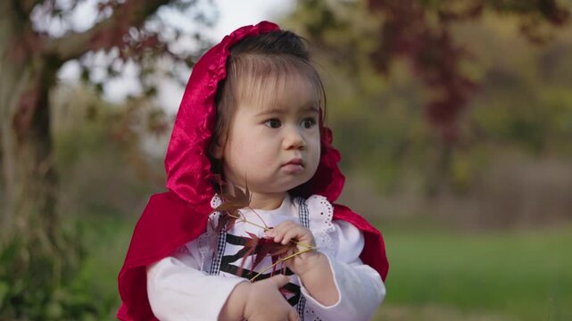 Toddler in Red Riding Hood Costume Holding Autumn Leaves