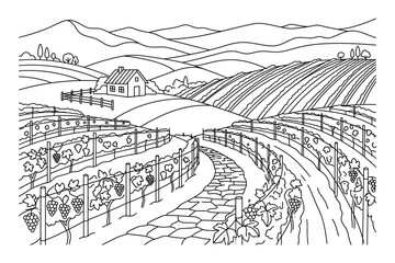 Fototapeta premium Agricultural vineyard landscape with rolling hills and a farmhouse in background