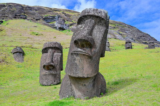 Multiple ancient Moai statues partially buried at Rano Raraku quarry on Easter Island, Chile