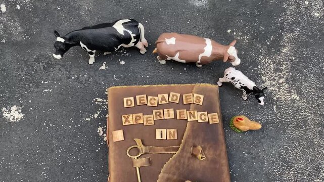 A Timeless Journal Story &mdash; Unique Real Footage for Telling a Journey of Experience, Expertise, and Innovation in Animal Feed Additive Industry