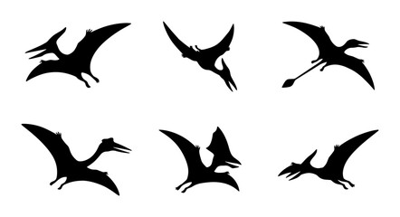 Pterodactyl Silhouettes, Flying Dinosaur Icons, Prehistoric Reptile Vector Set, Ancient Creature Graphics © Sahil