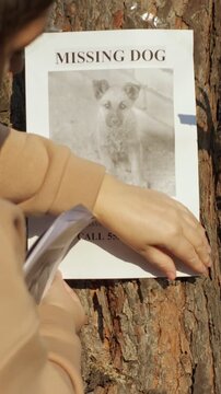 Sad and desperate woman putting up a missing dog flyer on a tree, the poster features a photo of the lost puppy and offers a reward for any information about her beloved pet