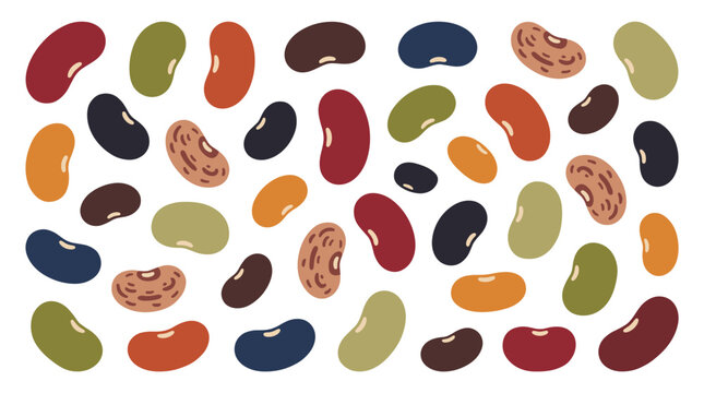 Assorted colorful beans and legumes. Assorted legumes including kidney and pinto beans for culinary use
