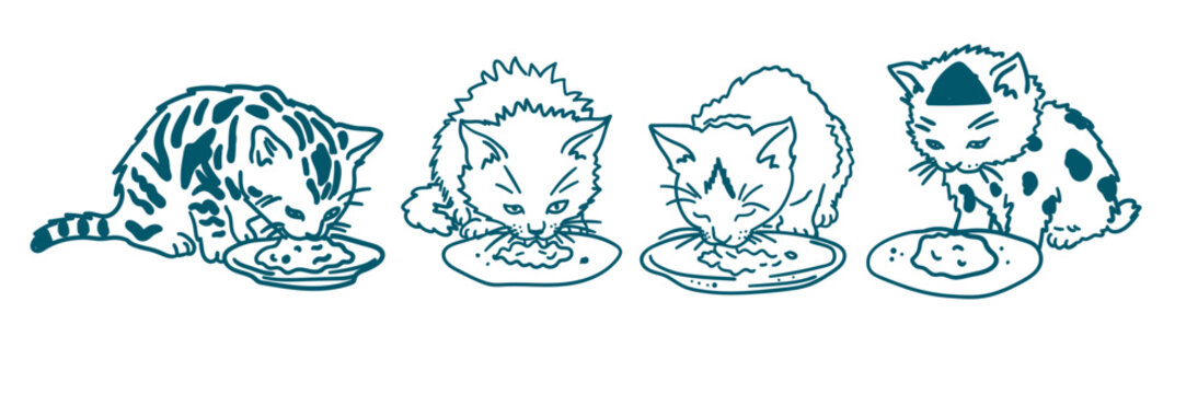 Cute kittens eating food from bowls, handdrawn vector illustration