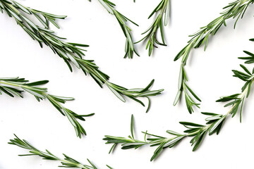 Fototapeta premium Fresh rosemary on a white background