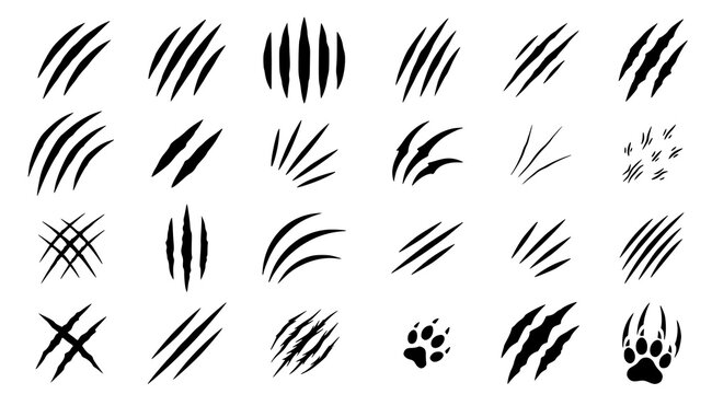 Animal claw scratches icon set with tiger lion bear wolf leopard and wild predator black vector marks