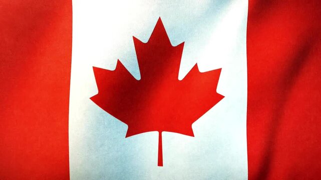 National canada flag waving in wind showing vibrant red and white fabric texture as official country symbol for patriotic celebrations and political events.