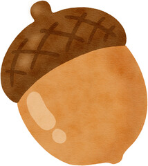 acorn © Hansol