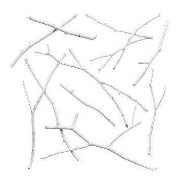 A bunch of sticks with buds on them