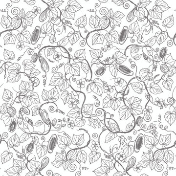 Seamless botanical vine pattern