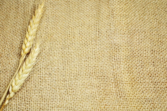 Golden Dry Wheat Ears On Woven Burlap Sack Background